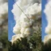 Baza: взрыв прогремел на территории склада в подмосковной деревне Ачкасово