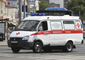 Незнание и любопытство: выяснилось, что приводит к отравлению грибами