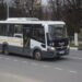 «Мострансавто» напомнило пассажирам о правилах перевозки животных в автобусах