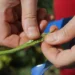 Россиянам назвали вызывающие вздутие живота продукты