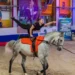 От деревянного коня к олимпийским надеждам: в Егорьевске воспитывают чемпионов по вольтижировке