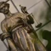 Суд Нальчика отправил в колонию на 9,5 лет бывшего главу банка