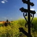 Кремировать или хоронить — что говорит Русская православная церковь