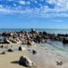 Роковой кадр: журналистка сорвалась со скалы во время фотосессии