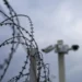 «От детской колонии до общего режима». Нападение на школу в Горках-2: какие последствия ждут подростка?